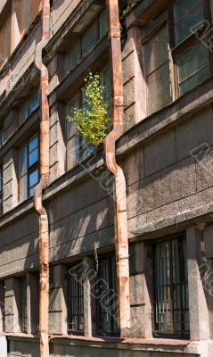 The life is everywhere