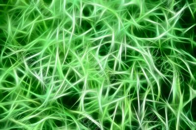 abstract green background