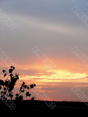 Clouds at a dawn. Clouds at a dawn.