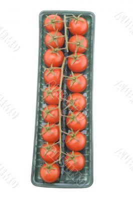 tomato in box on white