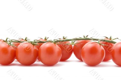 tomato on white closeup