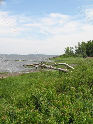 seascape at low tides