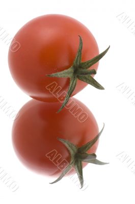 Red tomato on white background