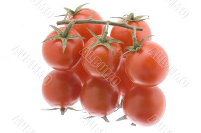 Red tomato on white close up