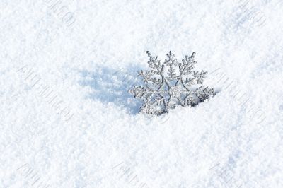 winter scene