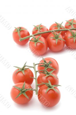 Raw tomato closeup on white