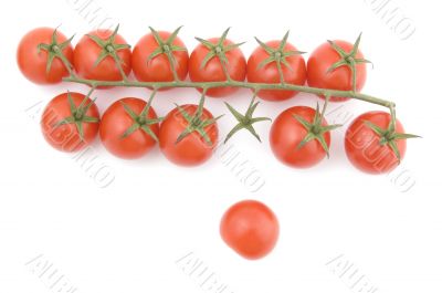 Raw tomato on white close up