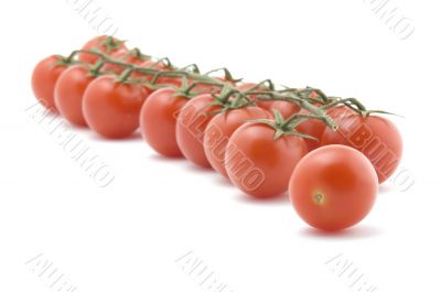 Raw tomato on white closeup