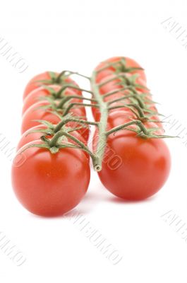 Raw tomato on white
