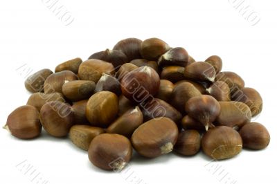 Chestnuts isolated on white background