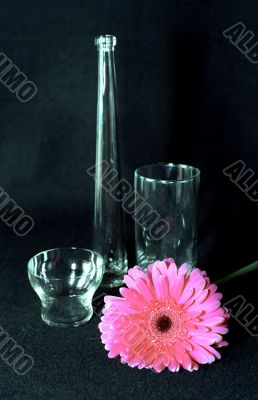 Glass things and rose flower