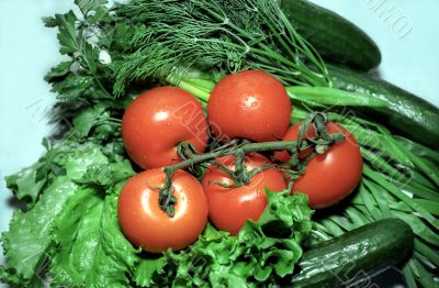 Red tomatoes with greenery and cucumbers