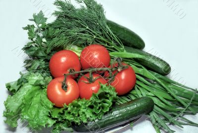 Tomatoes and cucumbers with greenery