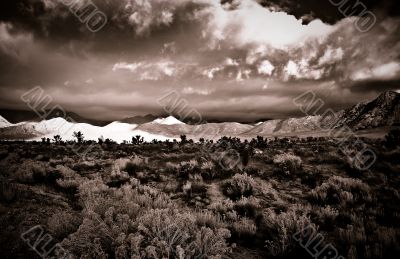 Desert Scene in Fall Desert Scene in Fall