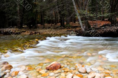Merced River in Fall Merced River in Fall