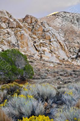 Desert Scene in Fall Desert Scene in Fall