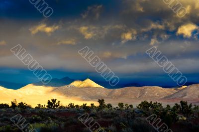 Desert Scene in Fall