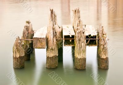 Pilings on the Columbia River
