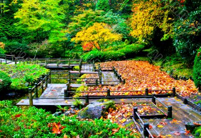 Pathway Through a Garden