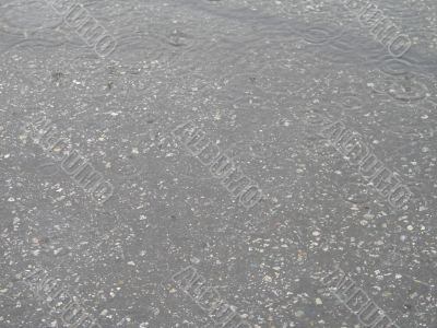 rain on the pavement rain on the pavement