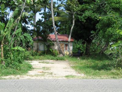 old house old house