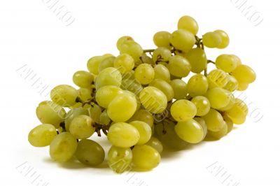 Bunch of green grapes