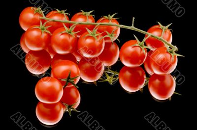 Ripe tomato close up
