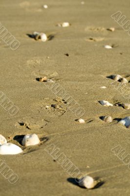 Footprints