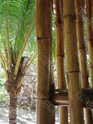 dry bamboo structure dry bamboo structure
