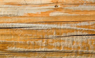 Wood texture