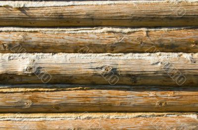 Wood texture