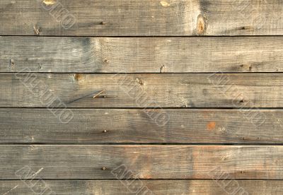 Wood texture