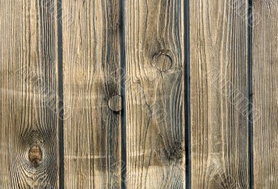 Wood texture