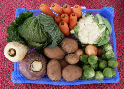 Winter vegetable collection