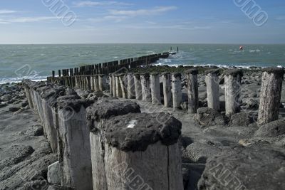 North Sea beach with breakwater,Netherlands