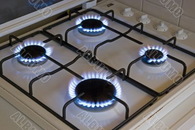 Four blue flames of a gas stove