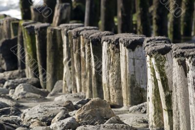 North Sea beach with breakwater,Netherlands