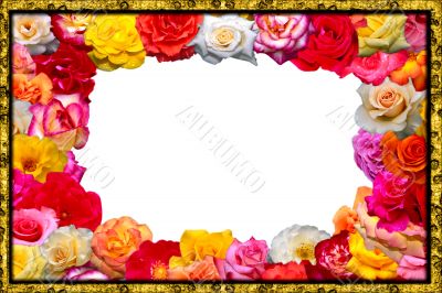 Festive floral frame