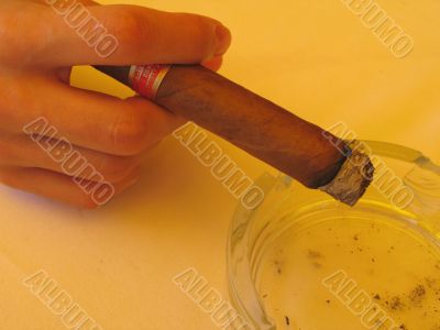 a cuban cigar close-up