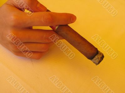 a cuban cigar close-up a cuban cigar close-up