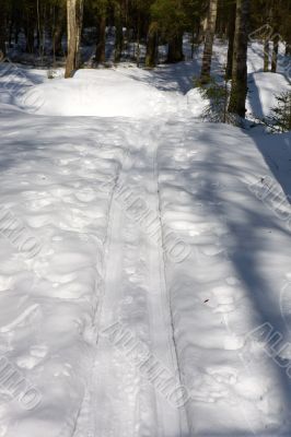 Ski track