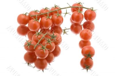 Ripe raw tomato on white