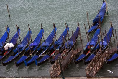 Gondola parking in Venice