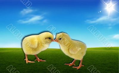 Easter Easter