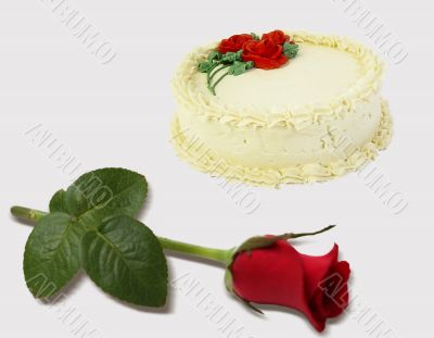 Red rose and cake
