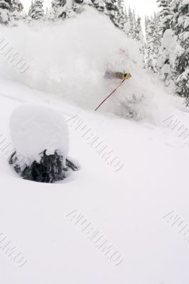 Skiier Shrouded by Snow