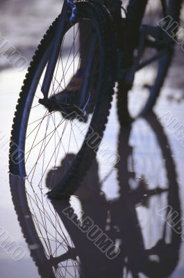 Bike Reflecting In Puddle