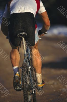 Back of A Mountain Biker