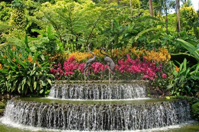 Botanical garden in Singapore
