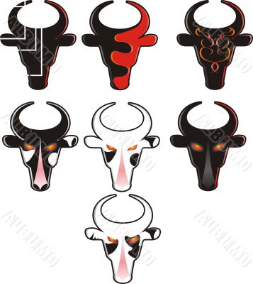 the bull, symbol of year